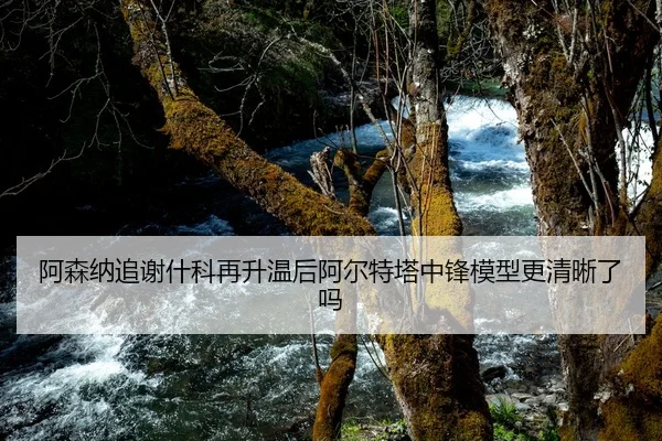 阿森纳追谢什科再升温后阿尔特塔中锋模型更清晰了吗