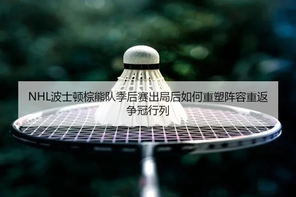 NHL波士顿棕熊队季后赛出局后如何重塑阵容重返争冠行列