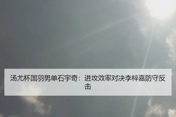 tang-you-bei-guo-yu-nan-dan-shi-yu-qi-jin-gong-xiao-lv-dui-jue-li-zi-jia-fang-shou-fan-ji-3-466.jpg
